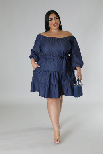 Deena Denim Dress